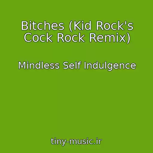 کاور آهنگ Bitches (Kid Rock's Cock Rock Remix) از Mindless Self Indulgence