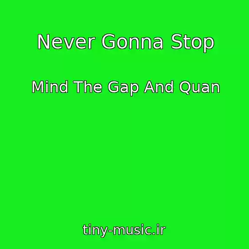 کاور آهنگ Never Gonna Stop از Mind The Gap And Quan