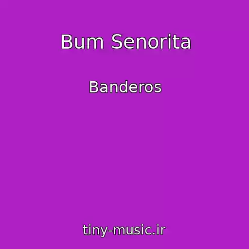 کاور آهنگ Bum Senorita از Banderos
