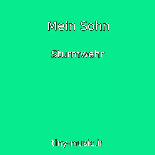کاور آهنگ Mein Sohn از Sturmwehr