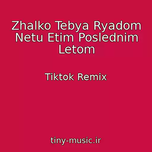 کاور آهنگ Zhalko Tebya Ryadom Netu Etim Poslednim Letom از Tiktok Remix