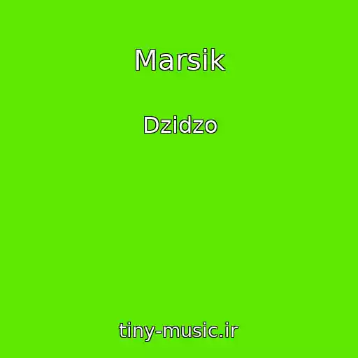کاور آهنگ Marsik از Dzidzo