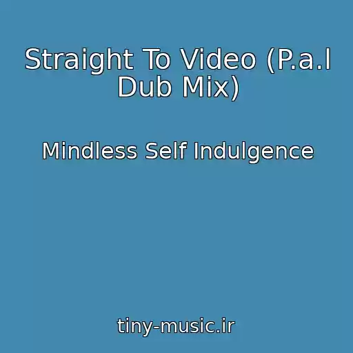 کاور آهنگ Straight To Video (P.a.l Dub Mix) از Mindless Self Indulgence