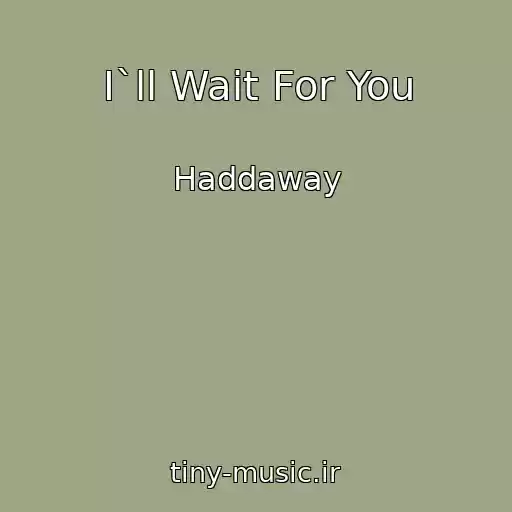 کاور آهنگ I`ll Wait For You از Haddaway
