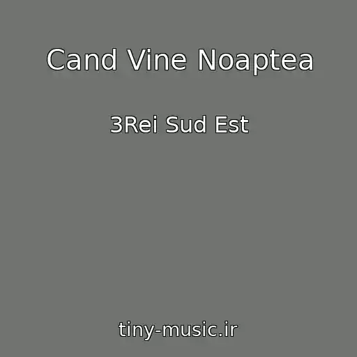 کاور آهنگ Cand Vine Noaptea از 3Rei Sud Est