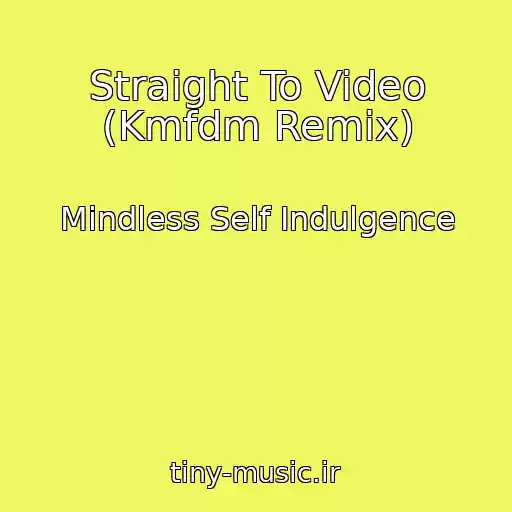 کاور آهنگ Straight To Video (Kmfdm Remix) از Mindless Self Indulgence