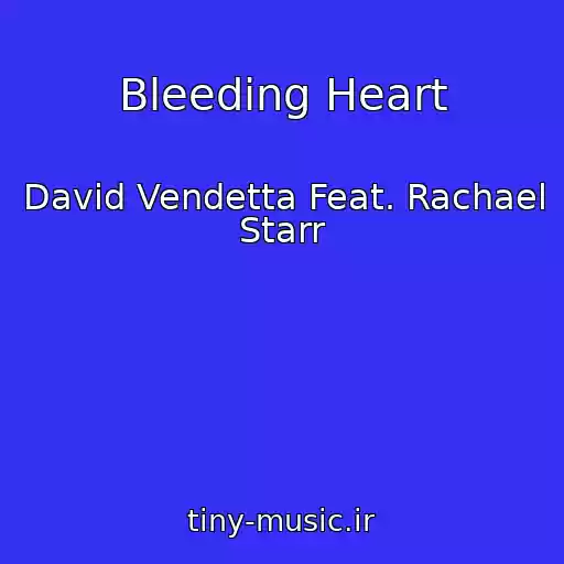 کاور آهنگ Bleeding Heart از David Vendetta Feat. Rachael Starr