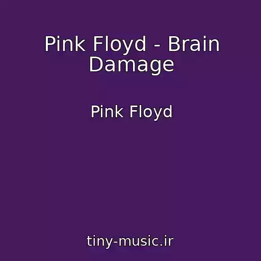 کاور آهنگ Pink Floyd - Brain Damage از Pink Floyd