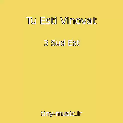 کاور آهنگ Tu Esti Vinovat از 3 Sud Est