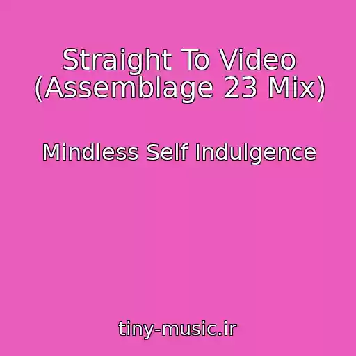 کاور آهنگ Straight To Video (Assemblage 23 Mix) از Mindless Self Indulgence