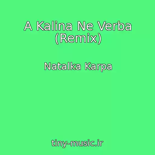 کاور آهنگ A Kalina Ne Verba (Remix) از Natalka Karpa