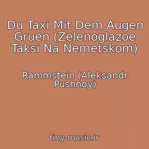 کاور آهنگ Du Taxi Mit Dem Augen Gruen (Zelenoglazoe Taksi Na Nemetskom) از Rammstein (Aleksandr Pushnoy)