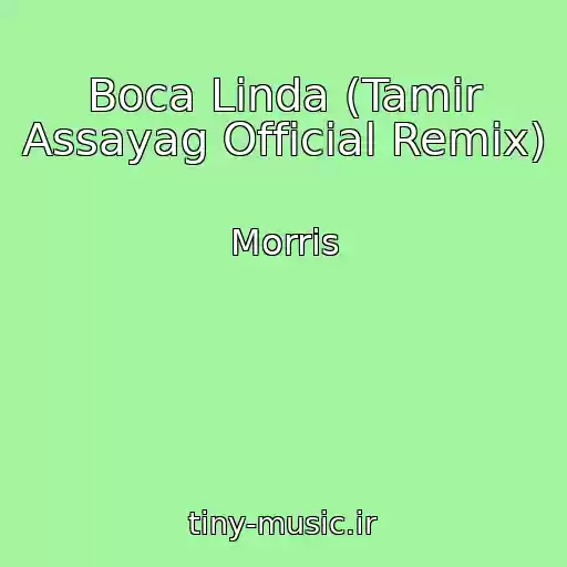 کاور آهنگ Boca Linda (Tamir Assayag Official Remix) از Morris