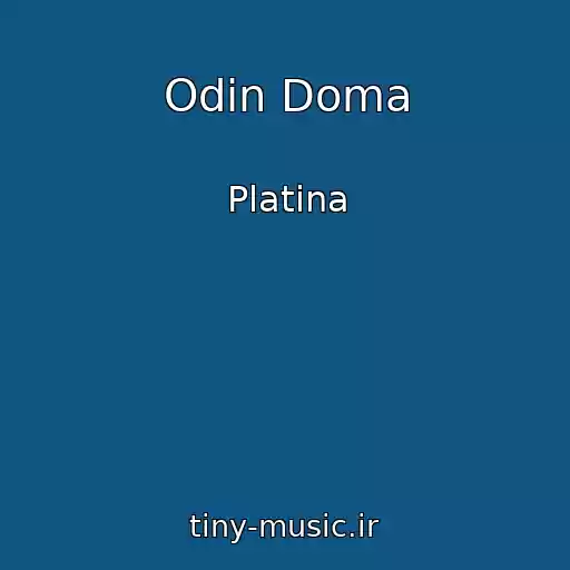 کاور آهنگ Odin Doma از Platina
