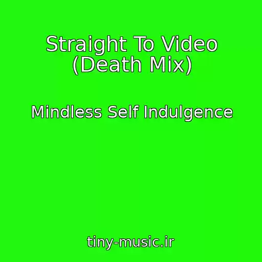 کاور آهنگ Straight To Video (Death Mix) از Mindless Self Indulgence