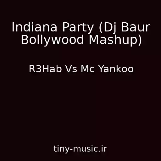 کاور آهنگ Indiana Party (Dj Baur Bollywood Mashup) از R3Hab Vs Mc Yankoo