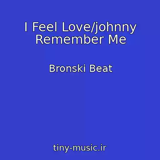 کاور آهنگ I Feel Love/johnny Remember Me از Bronski Beat