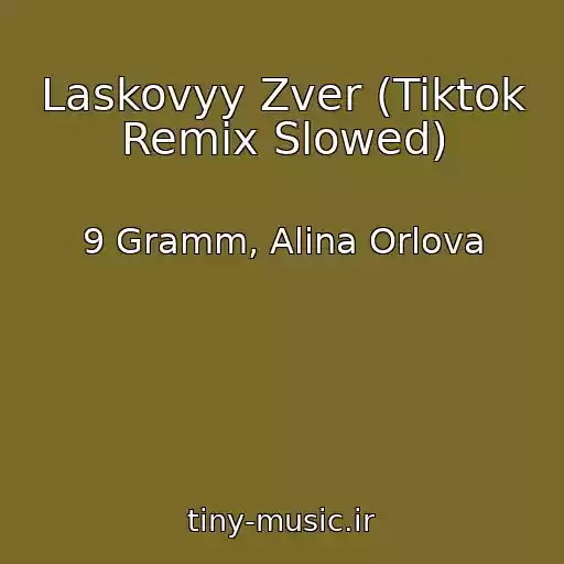 کاور آهنگ Laskovyy Zver (Tiktok Remix Slowed) از 9 Gramm, Alina Orlova