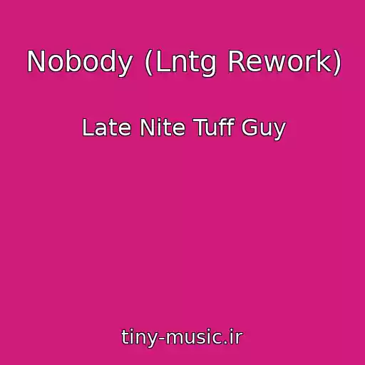 کاور آهنگ Nobody (Lntg Rework) از Late Nite Tuff Guy