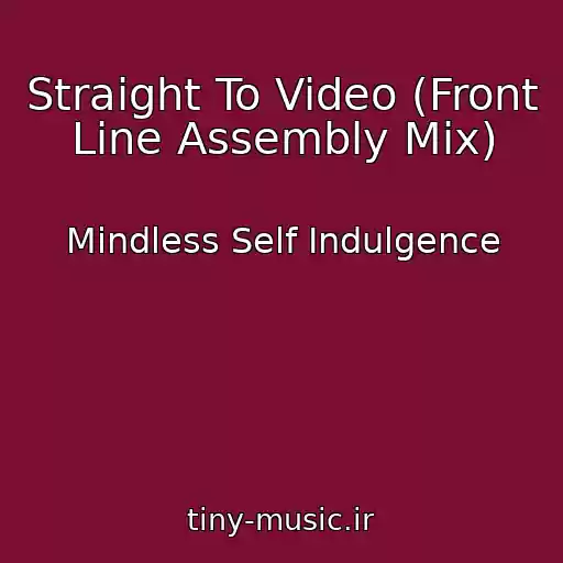کاور آهنگ Straight To Video (Front Line Assembly Mix) از Mindless Self Indulgence