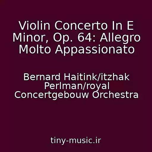 کاور آهنگ Violin Concerto In E Minor, Op. 64: Allegro Molto Appassionato از Bernard Haitink/itzhak Perlman/royal Concertgebouw Orchestra
