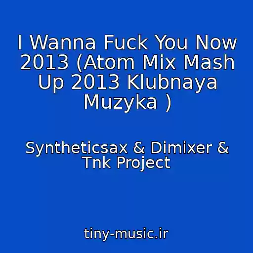 کاور آهنگ I Wanna Fuck You Now 2013 (Atom Mix Mash Up 2013 Klubnaya Muzyka ) از Syntheticsax & Dimixer & Tnk Project