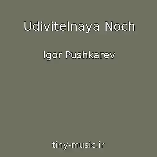 کاور آهنگ Udivitelnaya Noch از Igor Pushkarev