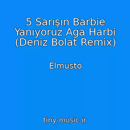کاور آهنگ 5 Sarışın Barbie Yanıyoruz Aga Harbi (Deniz Bolat Remix) از Elmusto