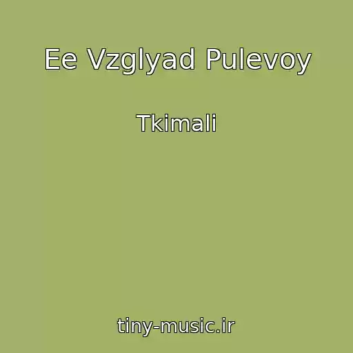 کاور آهنگ Ee Vzglyad Pulevoy از Tkimali