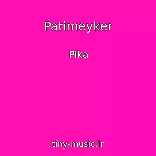 کاور آهنگ Patimeyker از Pika