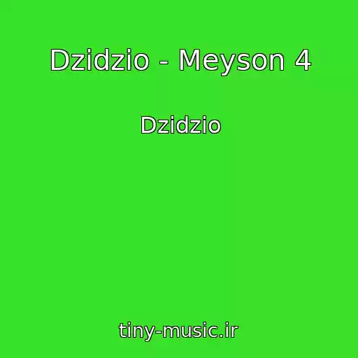 کاور آهنگ Dzidzio - Meyson 4 از Dzidzio