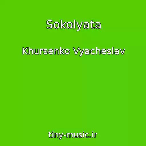 کاور آهنگ Sokolyata از Khursenko Vyacheslav