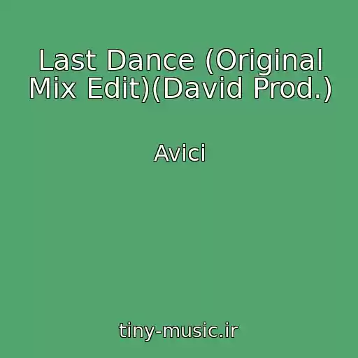 کاور آهنگ Last Dance (Original Mix Edit)(David Prod.) از Avici