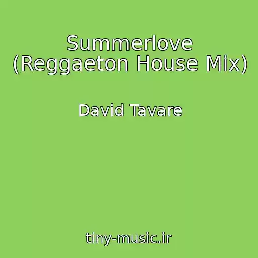 کاور آهنگ Summerlove (Reggaeton House Mix) از David Tavare