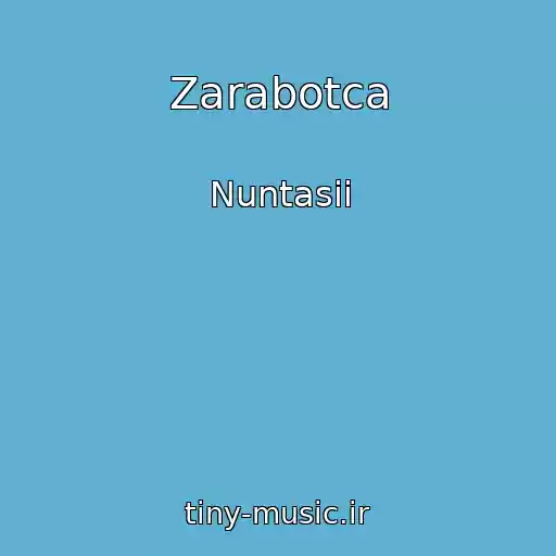 کاور آهنگ Zarabotca از Nuntasii