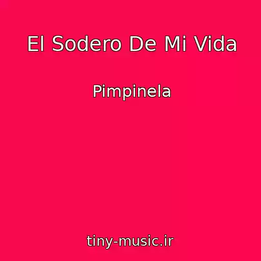 کاور آهنگ El Sodero De Mi Vida از Pimpinela