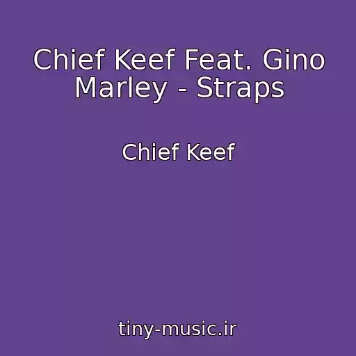 کاور آهنگ Chief Keef Feat. Gino Marley - Straps از Chief Keef