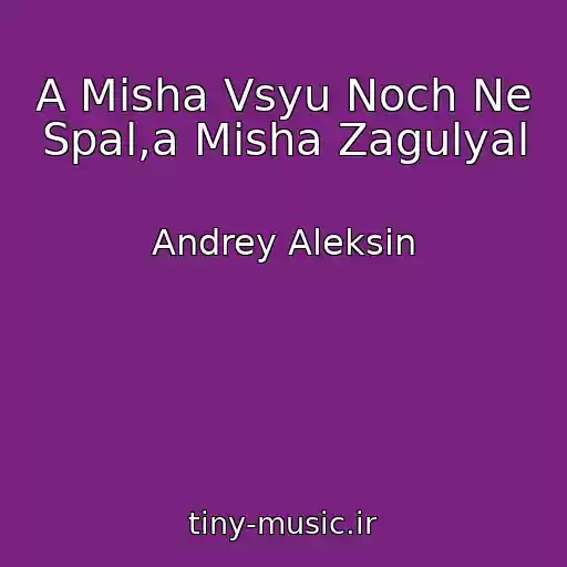 کاور آهنگ A Misha Vsyu Noch Ne Spal,a Misha Zagulyal از Andrey Aleksin