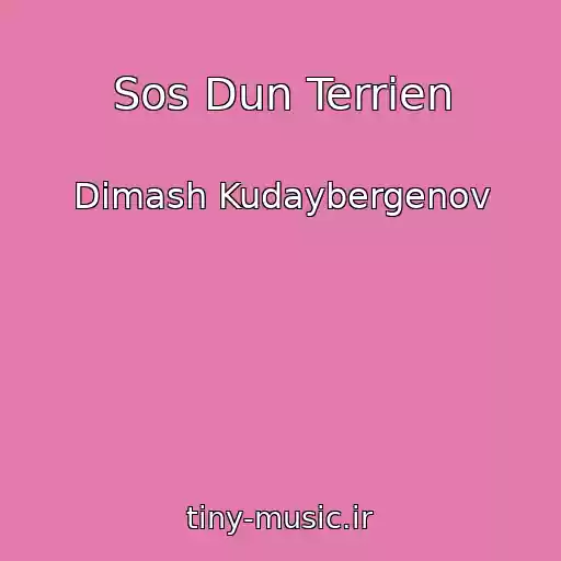 کاور آهنگ Sos Dun Terrien از Dimash Kudaybergenov