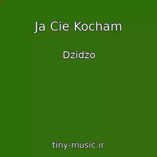 کاور آهنگ Ja Cie Kocham از Dzіdzo