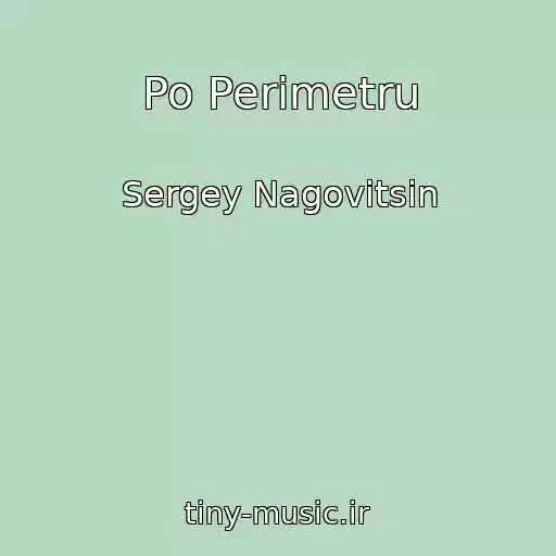 کاور آهنگ Po Perimetru از Sergey Nagovitsin