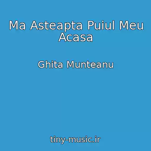 کاور آهنگ Ma Asteapta Puiul Meu Acasa از Ghita Munteanu