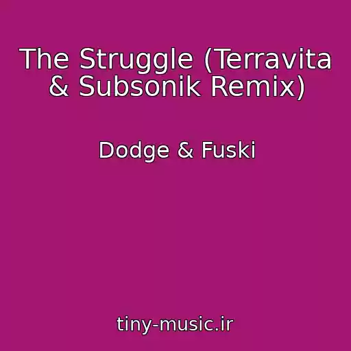 کاور آهنگ The Struggle (Terravita & Subsonik Remix) از Dodge & Fuski