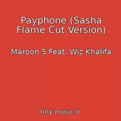 کاور آهنگ Payphone (Sasha Flame Cut Version) از Maroon 5 Feat. Wiz Khalifa