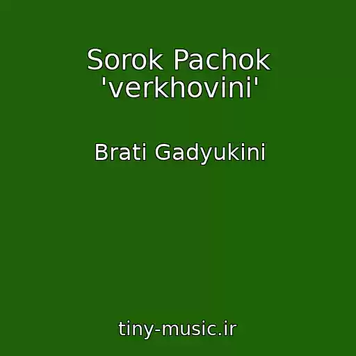 کاور آهنگ Sorok Pachok 'verkhovini' از Brati Gadyukіni