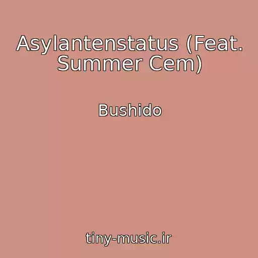 کاور آهنگ Asylantenstatus (Feat. Summer Cem) از Bushido