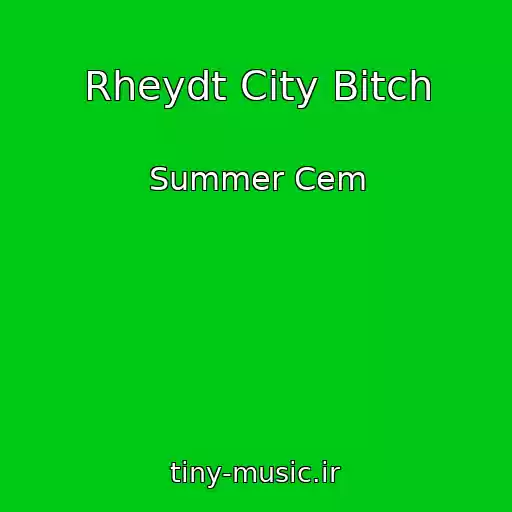 کاور آهنگ Rheydt City Bitch از Summer Cem