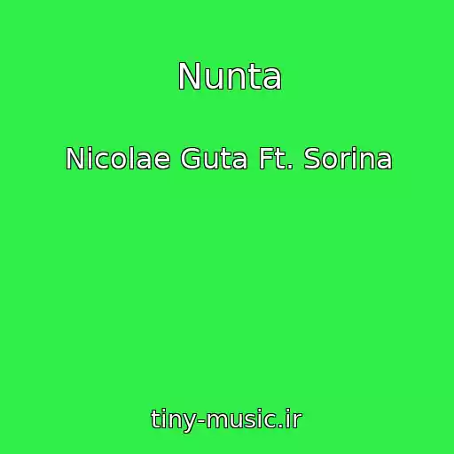 کاور آهنگ Nunta از Nicolae Guta Ft. Sorina