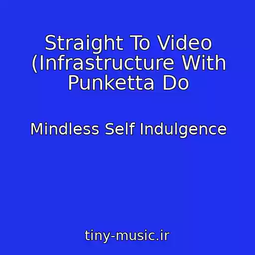 کاور آهنگ Straight To Video (Infrastructure With Punketta Do از Mindless Self Indulgence