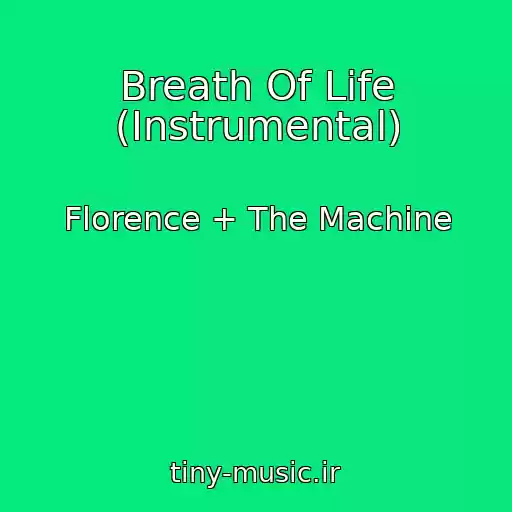 کاور آهنگ Breath Of Life (Instrumental) از Florence + The Machine